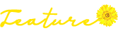 Feature