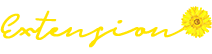 Extension
